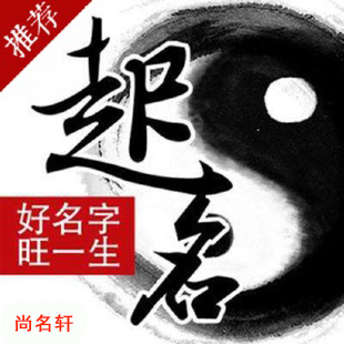 沙依巴克宝宝起名